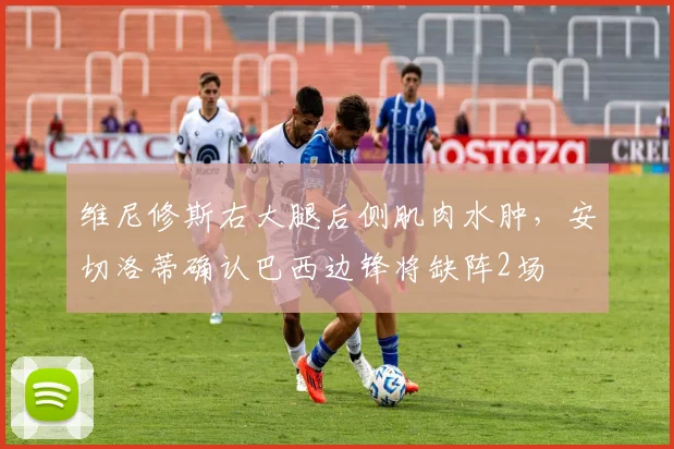 维尼修斯右大腿后侧肌肉水肿，安切洛蒂确认巴西边锋将缺阵2场
